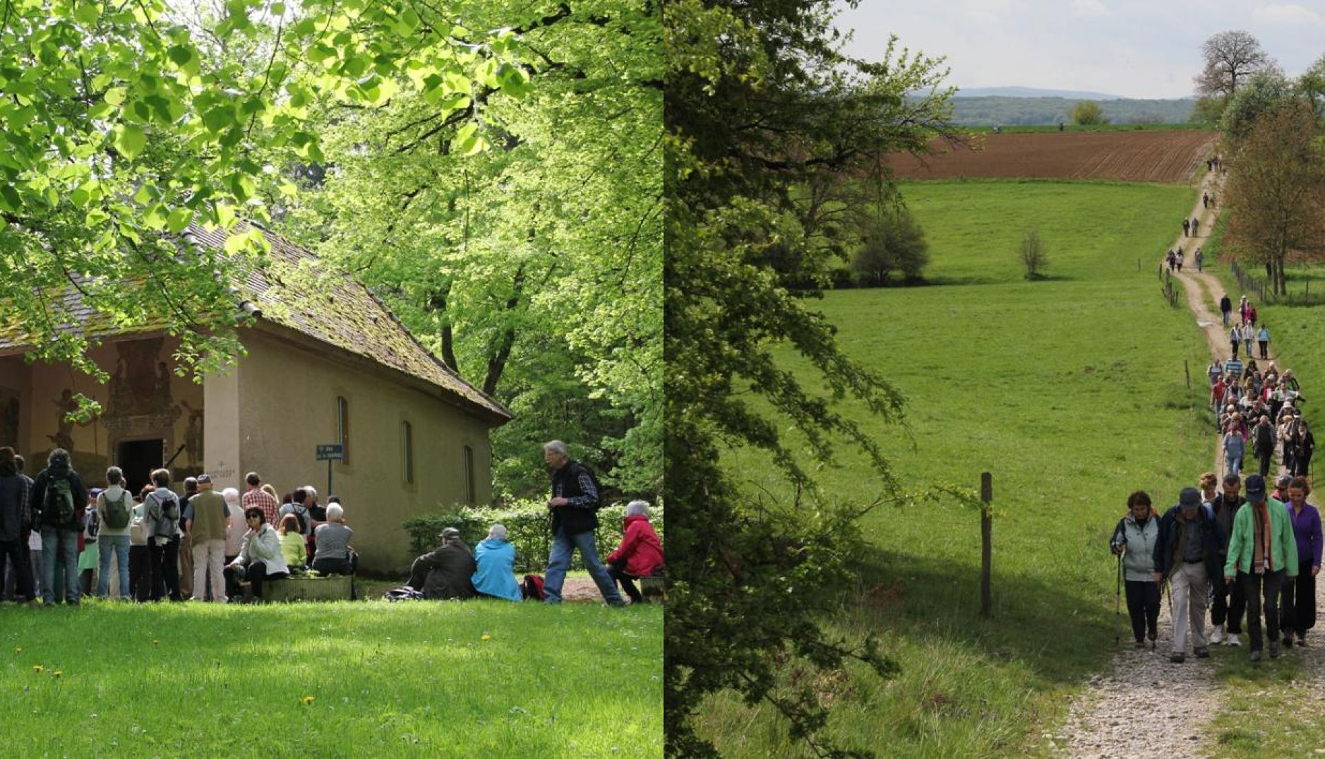 Promenade musicale (Marche + concert sans repas)
