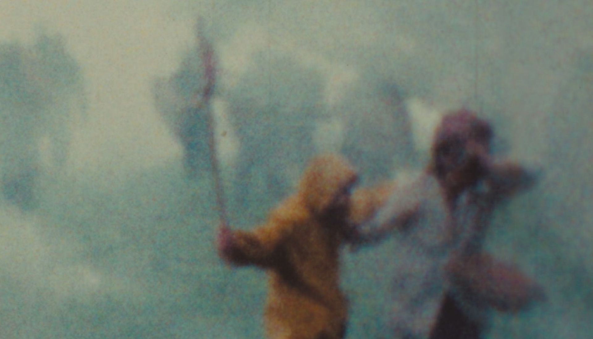 Projection et échange - Solange Fernex 